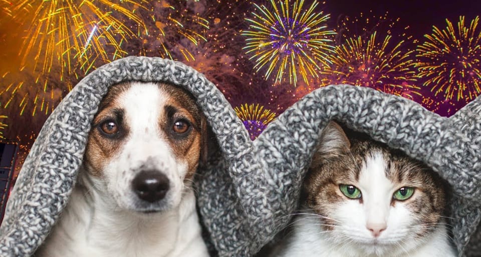 Smanjenje stresa kućnih ljubimaca uoči Nove godine